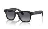 Ray-Ban WayFarer (RW4006), Gradient Graphite