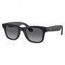 Ray-Ban WayFarer (RW4008) Matte Black / Polar Gradient Graphite (L) 601S/T3