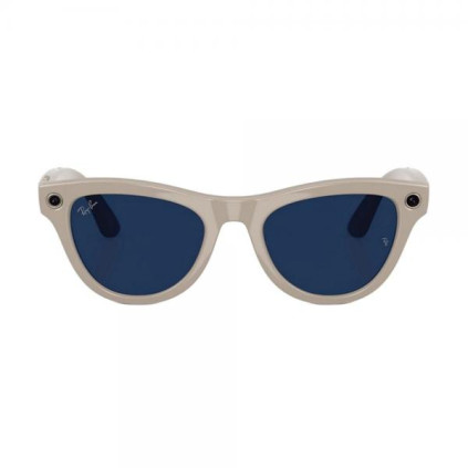 Ray-Ban Skyler (RW4010) Shiny Chalky Gray/ Transition Sapphire