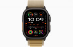 Apple Watch Ultra 2 49 �� Titanium Case, ������/Tan Alpine Loop (2024)