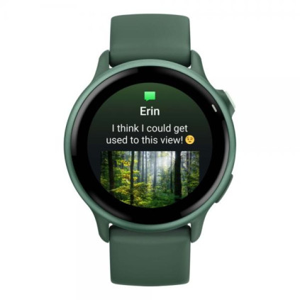 Garmin VivoActive 6, �������